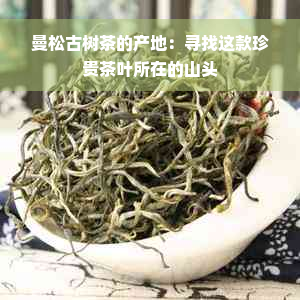 曼松古树茶的产地：寻找这款珍贵茶叶所在的山头