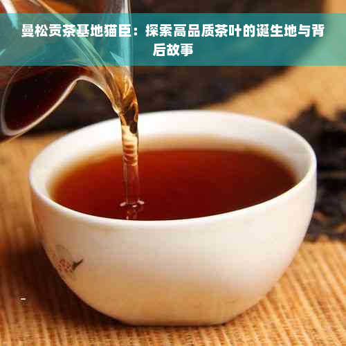 曼松贡茶基地猫臣：探索高品质茶叶的诞生地与背后故事