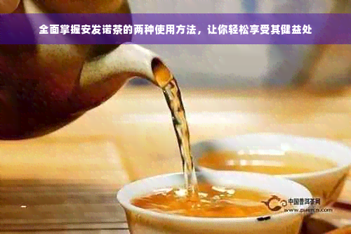 全面掌握安发诺茶的两种使用方法，让你轻松享受其健益处