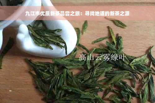 九江市优质新茶品尝之旅：寻找地道的新茶之源