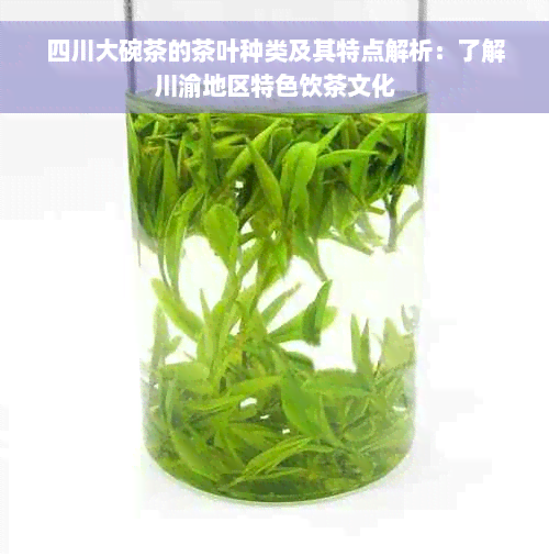 四川大碗茶的茶叶种类及其特点解析：了解川渝地区特色饮茶文化
