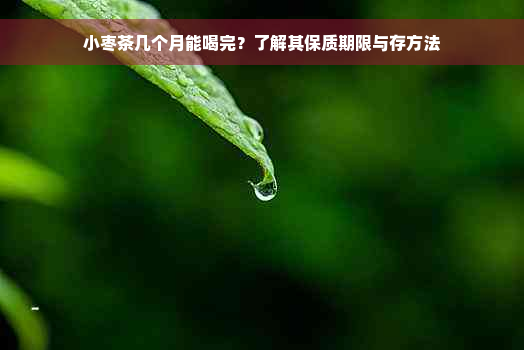 小枣茶几个月能喝完？了解其保质期限与存方法