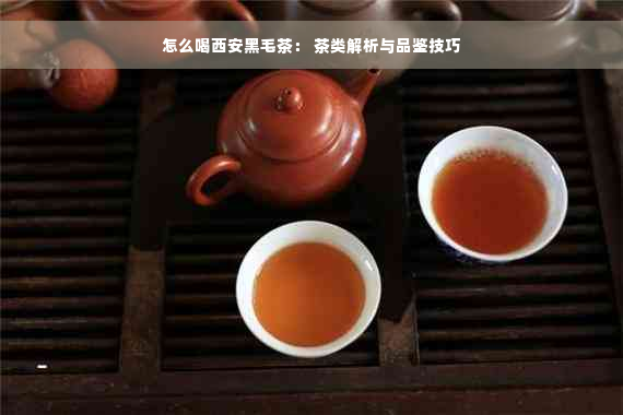怎么喝西安黑毛茶： 茶类解析与品鉴技巧