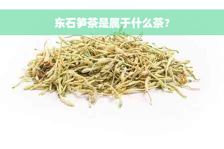 东石笋茶是属于什么茶？