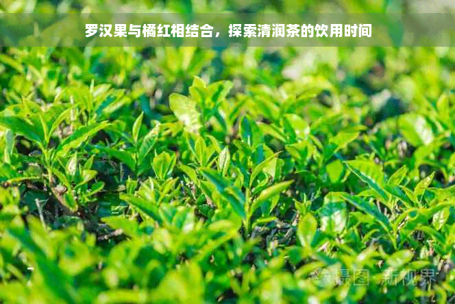 罗汉果与橘红相结合，探索清润茶的饮用时间