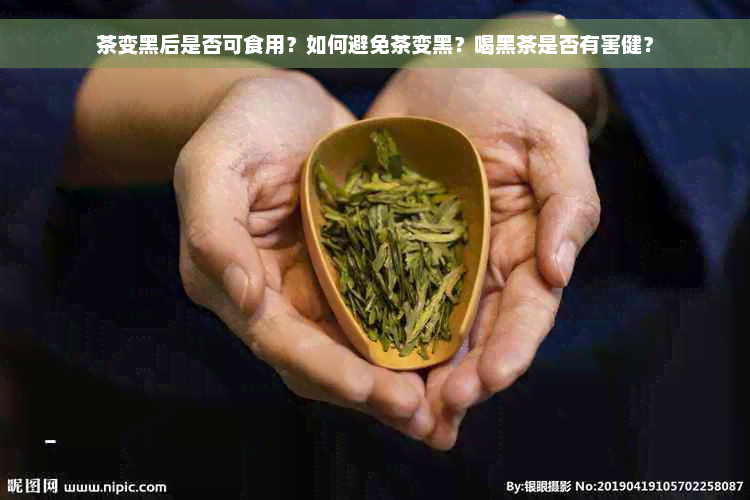 茶变黑后是否可食用？如何避免茶变黑？喝黑茶是否有害健？