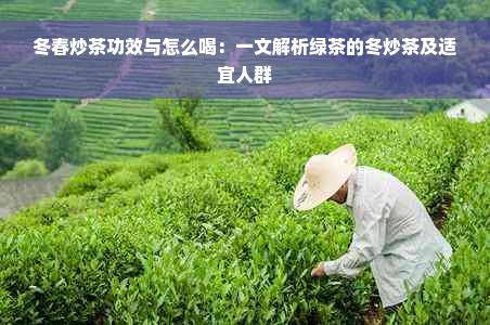 冬春炒茶功效与怎么喝：一文解析绿茶的冬炒茶及适宜人群