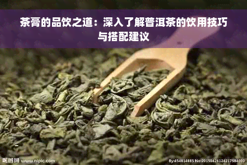 茶膏的品饮之道：深入了解普洱茶的饮用技巧与搭配建议