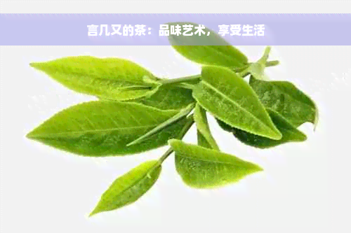 言几又的茶：品味艺术，享受生活