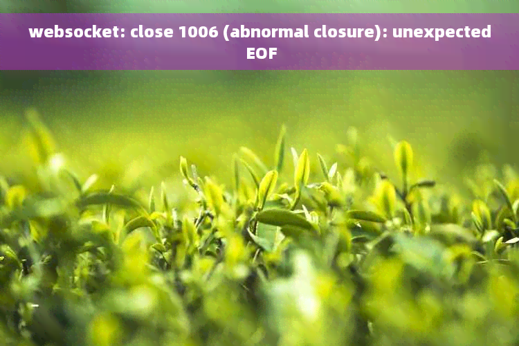 websocket: close 1006 (abnormal closure): unexpected EOF
