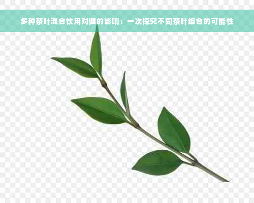 多种茶叶混合饮用对健的影响：一次探究不同茶叶组合的可能性