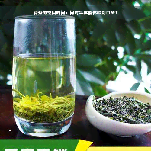 荷茶的饮用时间：何时品尝能体验到口感？