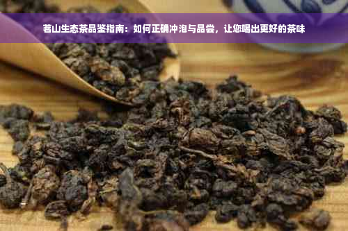 茗山生态茶品鉴指南：如何正确冲泡与品尝，让您喝出更好的茶味