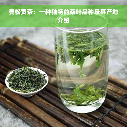 曼松贡茶：一种独特的茶叶品种及其产地介绍