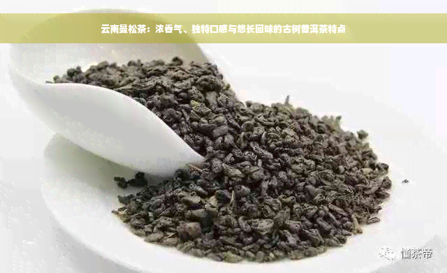 云南曼松茶：浓香气、独特口感与悠长回味的古树普洱茶特点