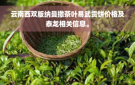 云南西双版纳曼撒茶叶易武贡饼价格及泰龙相关信息。