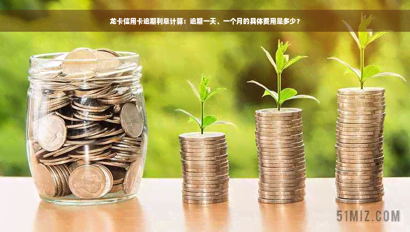 龙卡信用卡逾期利息计算：逾期一天、一个月的具体费用是多少？