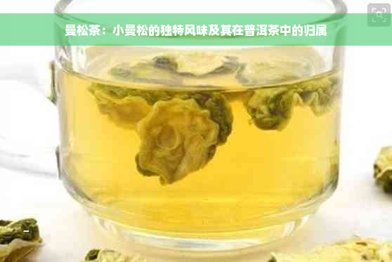曼松茶：小曼松的独特风味及其在普洱茶中的归属