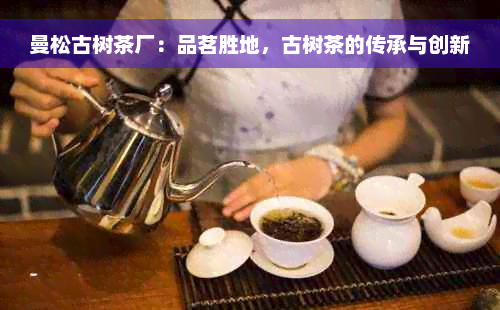 曼松古树茶厂：品茗胜地，古树茶的传承与创新