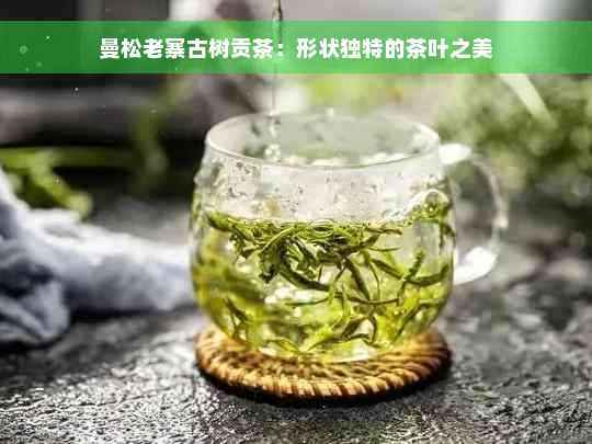 曼松老寨古树贡茶：形状独特的茶叶之美