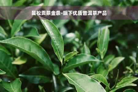 曼松贡茶金条-旗下优质普洱茶产品
