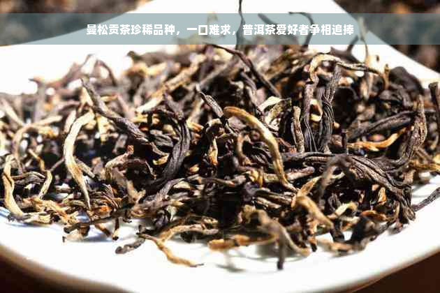 曼松贡茶珍稀品种，一口难求，普洱茶爱好者争相追捧