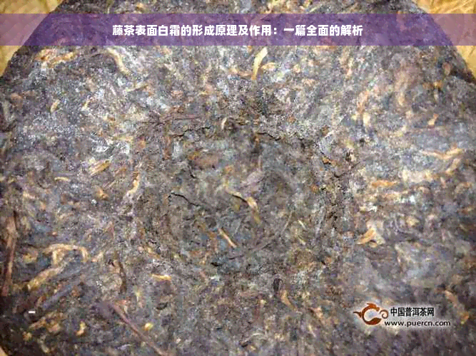 藤茶表面白霜的形成原理及作用：一篇全面的解析