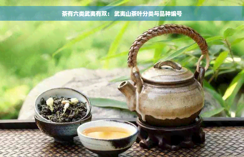 茶有六类武夷有双： 武夷山茶叶分类与品种编号