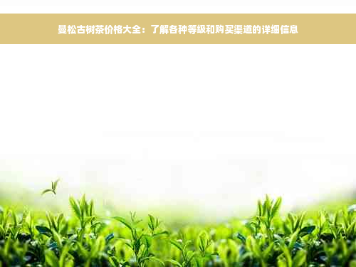 曼松古树茶价格大全：了解各种等级和购买渠道的详细信息