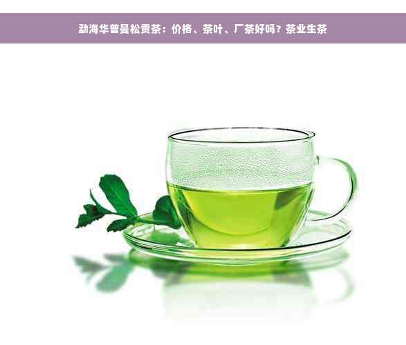 勐海华普曼松贡茶：价格、茶叶、厂茶好吗？茶业生茶