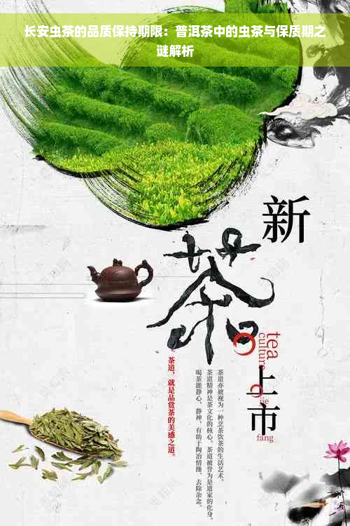 长安虫茶的品质保持期限：普洱茶中的虫茶与保质期之谜解析