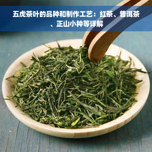 五虎茶叶的品种和制作工艺：红茶、普洱茶、正山小种等详解