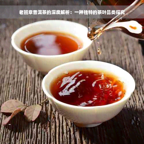 老班章普洱茶的深度解析：一种独特的茶叶品类探究