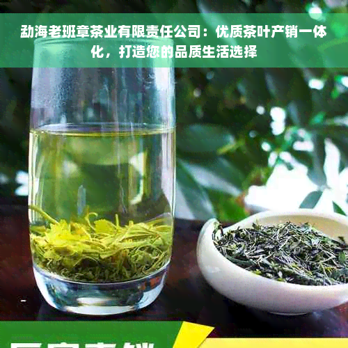 勐海老班章茶业有限责任公司：优质茶叶产销一体化，打造您的品质生活选择