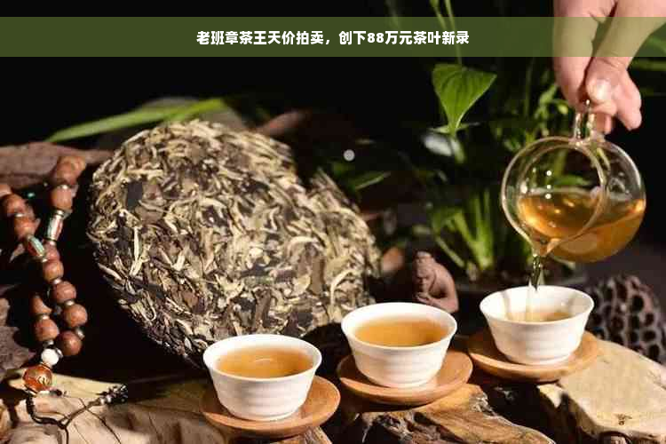 老班章茶王天价拍卖，创下88万元茶叶新录
