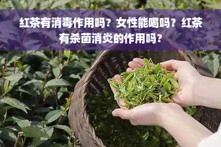 红茶有消毒作用吗？女性能喝吗？红茶有杀菌消炎的作用吗？