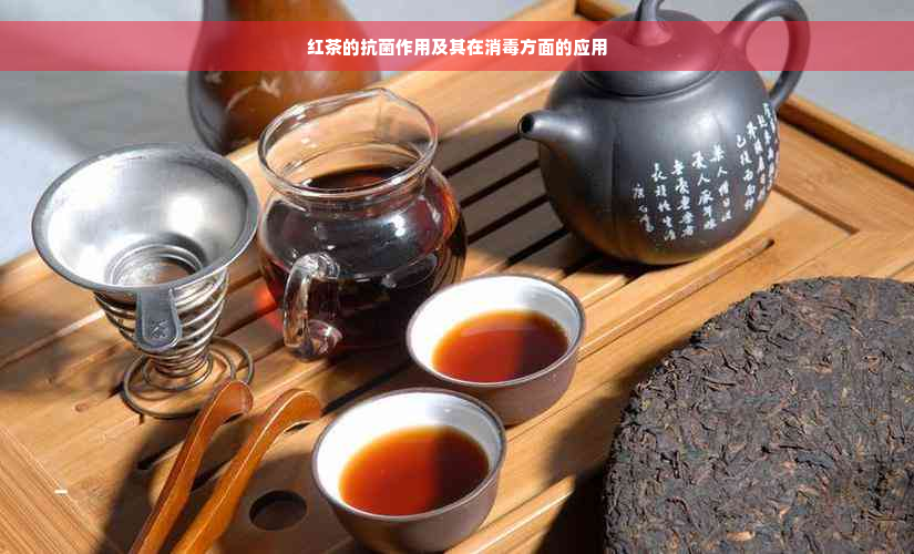 红茶的抗菌作用及其在消毒方面的应用
