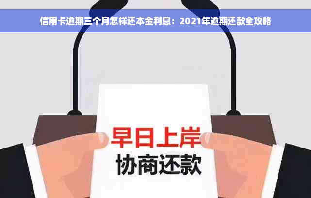 信用卡逾期三个月怎样还本金利息：2021年逾期还款全攻略