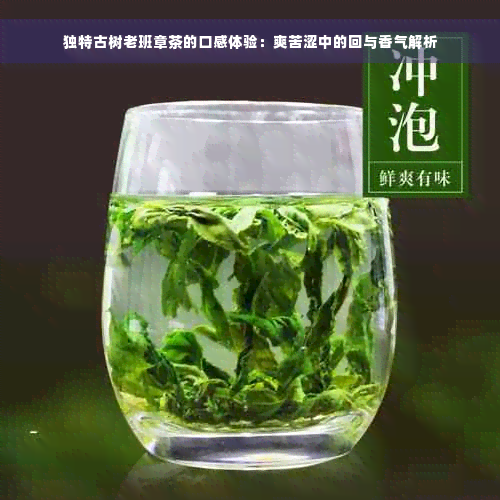 独特古树老班章茶的口感体验：爽苦涩中的回与香气解析