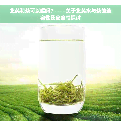 北芪和茶可以喝吗？——关于北芪水与茶的兼容性及安全性探讨