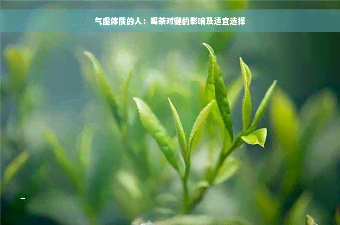 气虚体质的人：喝茶对健的影响及适宜选择