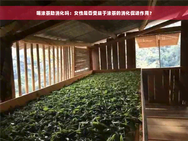 喝浓茶助消化吗：女性是否受益于浓茶的消化促进作用？