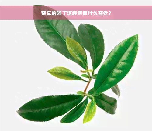 茶女的喝了这种茶有什么益处？