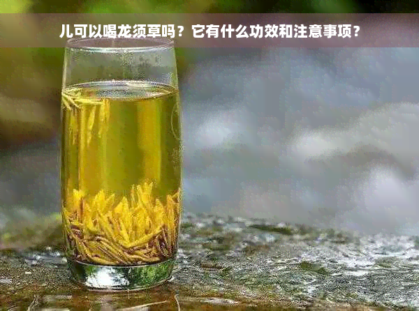 儿可以喝龙须草吗？它有什么功效和注意事项？