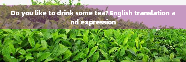 Do you like to drink some tea? English translation and expression