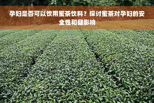 孕妇是否可以饮用蜜茶饮料？探讨蜜茶对孕妇的安全性和健影响