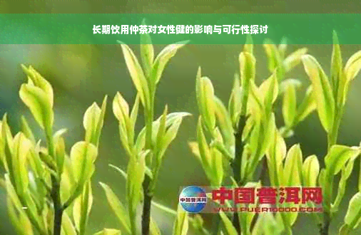 长期饮用仲茶对女性健的影响与可行性探讨