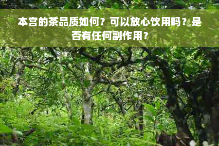 本宫的茶品质如何？可以放心饮用吗？是否有任何副作用？