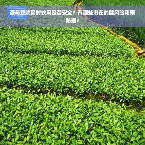 茶与豆浆同时饮用是否安全？有哪些潜在的健风险和预防措？