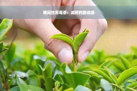 晚间饮用莓茶：减肥的新选择